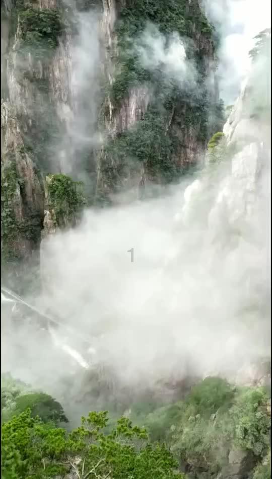 猴王悟空